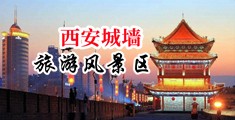 操逼业余中国陕西-西安城墙旅游风景区